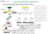 Технология переработки труднообогатимых железо-марганцевых руд