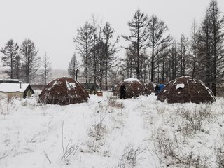 IMG_20230410_065944.jpg