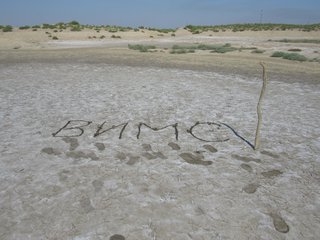 IMG_3292
