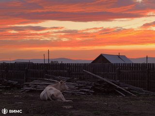 Photo_1