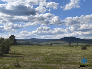 Web_Photo_Editor (5)