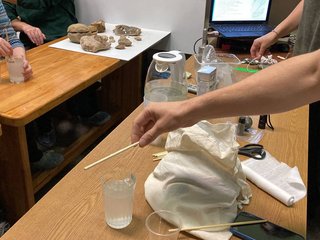 photo_5202162344690580831_y